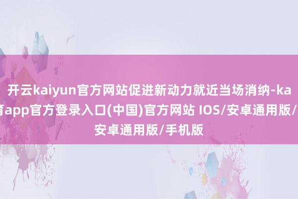 开云kaiyun官方网站促进新动力就近当场消纳-kai云体育app官方登录入口(中国)官方网站 IOS/安卓通用版/手机版