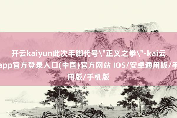 开云kaiyun此次手脚代号＂正义之拳＂-kai云体育app官方登录入口(中国)官方网站 IOS/安卓通用版/手机版