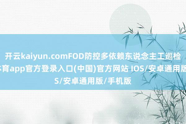 开云kaiyun.comFOD防控多依赖东说念主工巡检-kai云体育app官方登录入口(中国)官方网站 IOS/安卓通用版/手机版